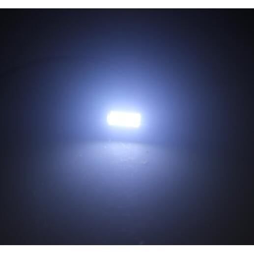 Ruiandsion Ampoules LED Auto 41mm Rouge CANBUS - 2 Pack - Éclairage Intérieur Voiture Sans Erreur