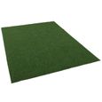Snapstyle - Kingston - tapis type gazon artificiel - pour jardin, terrasse, balcon - vert mélangé - 200x50 cm-2
