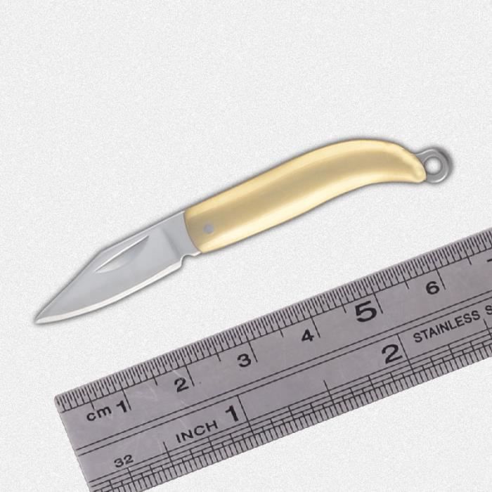 Mini Couteau Pliant Porte-clés, Haute Dureté, Camping De Poche