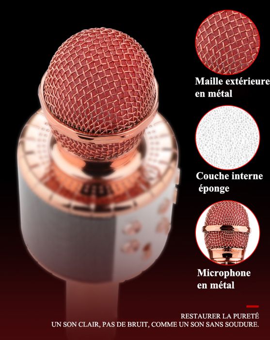Microphone Sans Fil Karaoké Bluetooth Enfant – 4 Modes Vocaux – LED – Cadeau Anniversaire / Noël