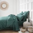 Drap plat 220x240
