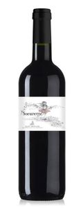 VIN ROUGE Soeurette 2020  Saint-Emilion  Vin rouge de Bordea