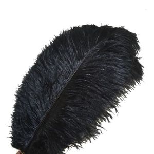 Noir Plume d/'autruche