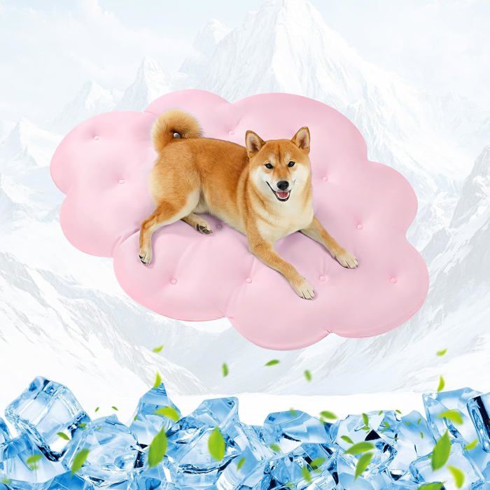 Tapis Rafraîchissant pour Chien 120x90 cm GrandQ-Max>04 Tapis Auto-RefroidissantDouble Face Frais & Chaud pour ÉtéLavable en