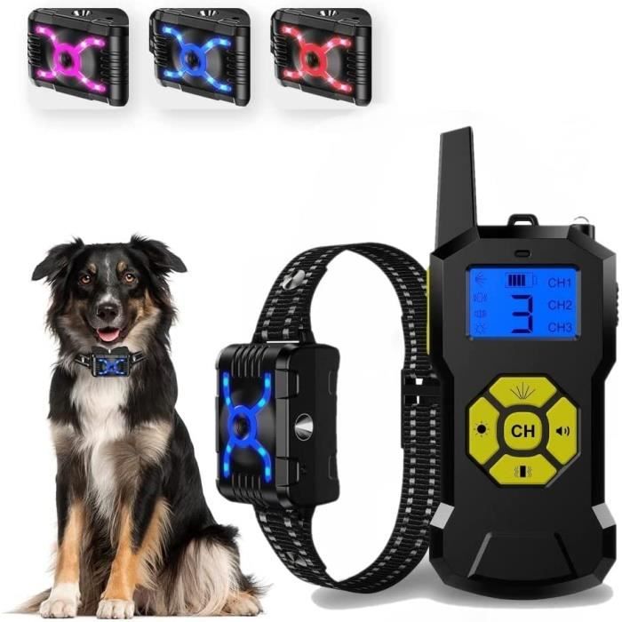 Collier antiaboiement à la citronnelle avec