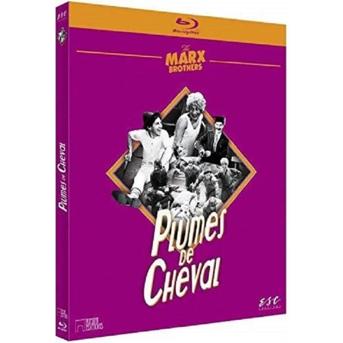 cheval a bascule chicco prix