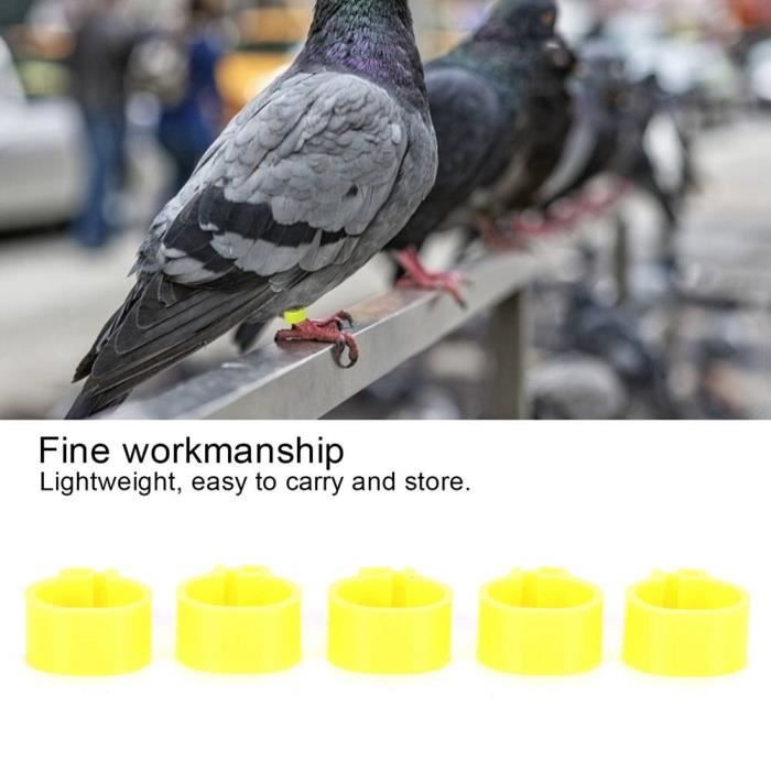 Comparer les prix de NOUVEAU-200Pcs 10mm Bague d'identification  Pigeon pied anneau Pigeon pied anneau avec mot boucles (Jaune) -yotanroom