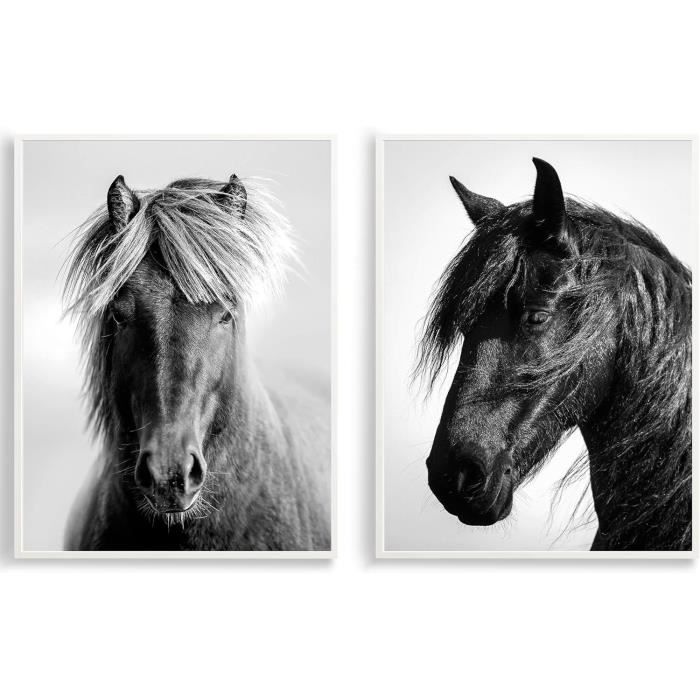 HUYEEI Noir Et Blanc Impression Sur Toile Oiseau En Vol Peinture