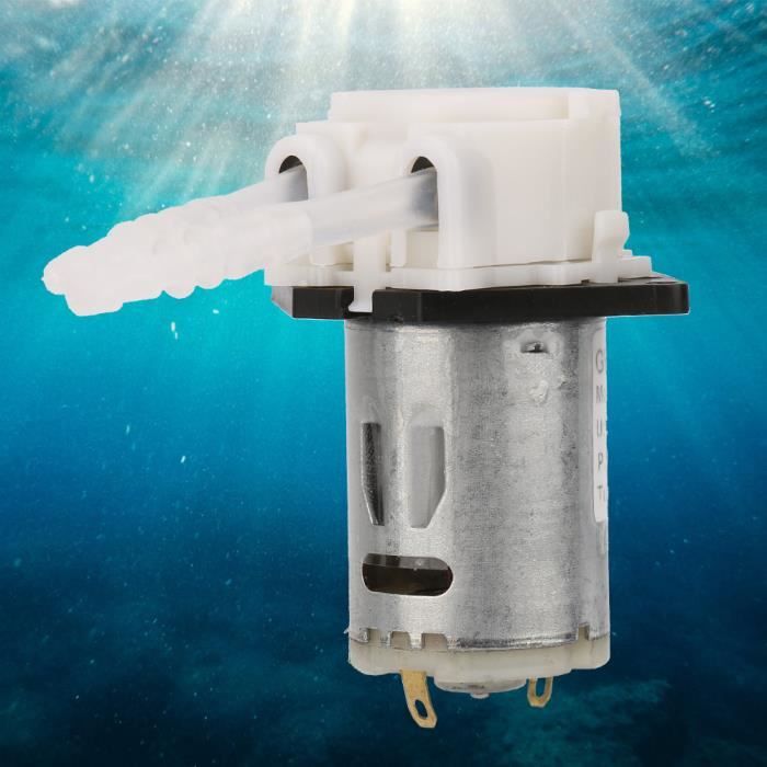Pompe Péristaltique DC12V/24V FTVOGUE Pour Aquarium, Labo, Dosage Chimique - Débit Réglable, Auto-Amorçage