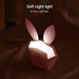 Décoration de style fille nordique chambre d'enfants mignon mignon lapin lumière USB charge LED veilleuse-1