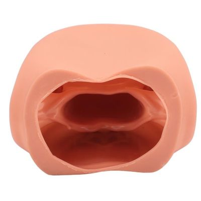 Ciciglow Marionnette à Bouche Avec Langue Et 28 Dents – Modèle Dentaire Pour Enfants – Apprentissage Du Brossage Et Orthophonie