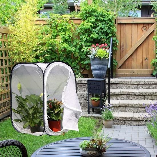 Terrarium Plante Hydrogarden Pop Up - Petite Tente D'hivernage Pour Plantes - Pot De Fleurs - - Protection Hivernale Pour Plantes (80 X 80 X 80 Cm Mini Serre