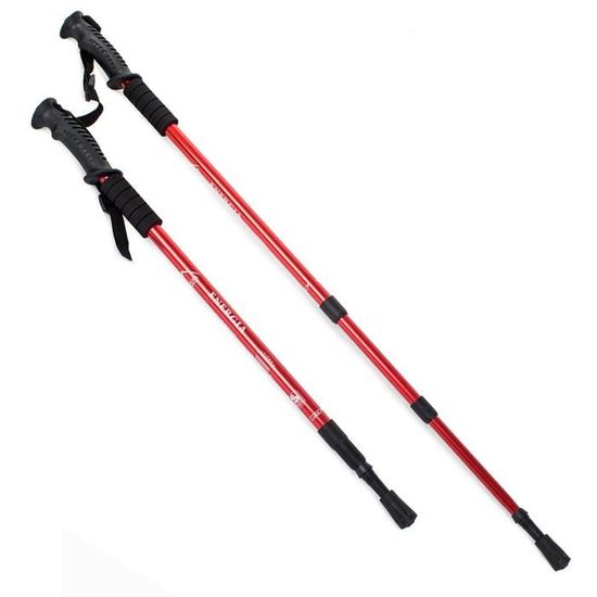 2 BÂTONS DE MARCHE NORDIQUE RANDONNÉE ENERGIA WOOD ALUMIN 3 STEP SILVER Ressort Anti Choc