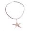 Collier Métal Argenté Pendentif Etoile de Mer Perle Chips Turquoise
