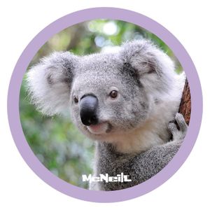 Cartable koala sales