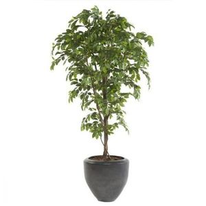 FLEUR ARTIFICIELLE Plante artificielle Ficus Deluxe - 140 cm
