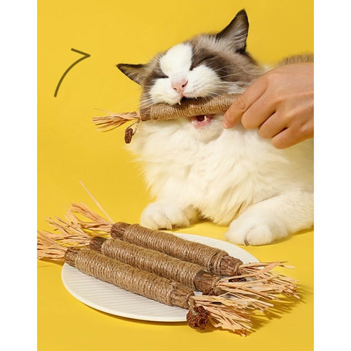 Meilleurs prix pour 3pcs Jouet à mâcher pour Chat–Nettoyage dentaire naturel–Bâton en bois de 22 cm–Stimule la mastication et l’hygiène bucco-dentaire