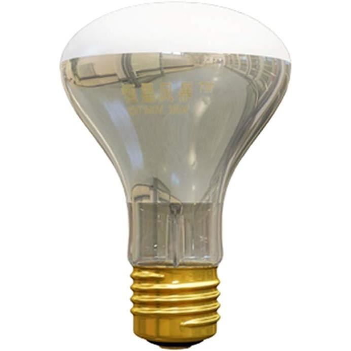 Lampe Chauffante Céramique 100W E27 Avec Grille De Protection - Pour Terrarium Tortue, Lézard, Serpent - Alimentation 110-120V