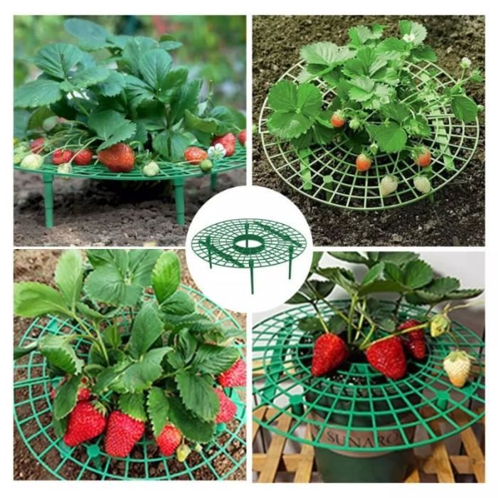 16 Supports Pour Plants De Fraisiers - Plastique Vert Amovible - Éloigne Les Fraises Du Sol, Protège Des Escargots