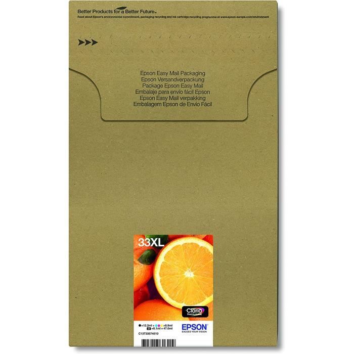 EPSON 604 Ananas Pack 4 cartouches d'encre Easymail à prix bas