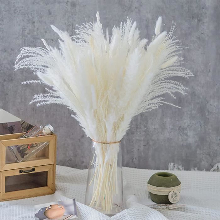 JANZDIYS -Bouquet de fleurs séchées naturelle-Plumes de pampa-blanc  crème-55pcs-longeur 45cm-50cm - Cdiscount Maison