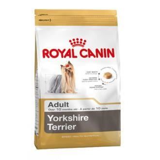 Yorkshire Terrier Adult 1 KG