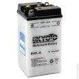 Tashima - Batterie moto B49-6 6V 10Ah  - Batterie(s)-1