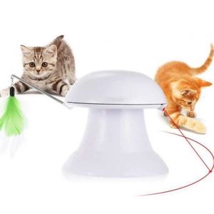 Pointeur Laser Rechargeable Pour Chat Achat Vente Pas Cher Pointeur Laser Rechargeable Pour Chat Achat Vente Pas Cher