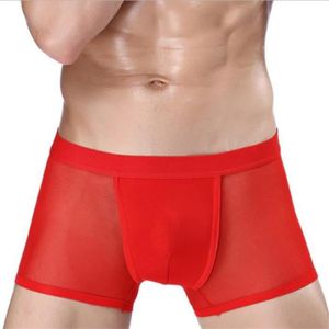 BOXER - SHORTY Sous-vêtement,Boxer Transparent pour hommes, sous 