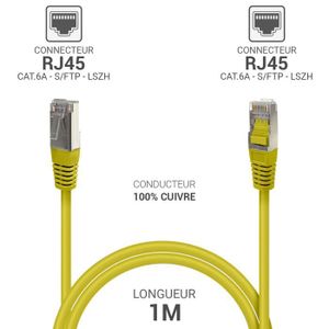 CÂBLE RÉSEAU  Câble réseau RJ45 Cat 6a S/FTP 100% cuivre LSZH 33