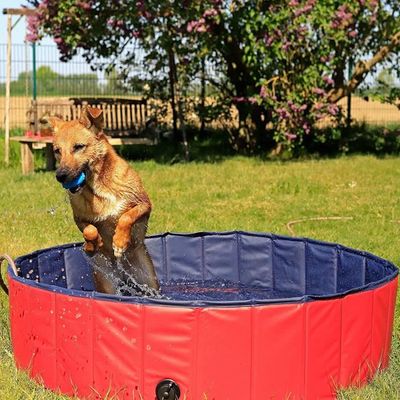 PawHut Piscine pliable de bain de chien de PVC piscine portative d'enfant  d'animal familie