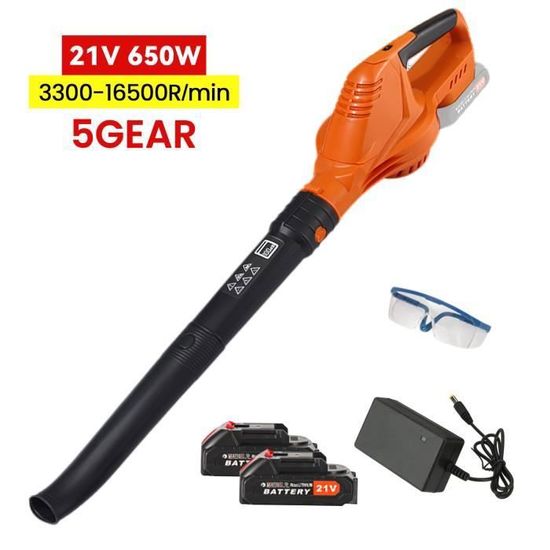 Souffleur De Feuilles Sans Fil - 2 Batteries 3.0Ah Incluses - 300 000 RPM - Léger 600g - Puissant Pour Jardin Et Terrasse
