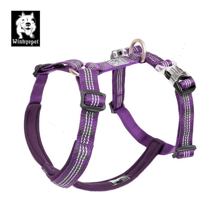 Laisses Colliers,Truelove harnais de harnais pour chien Souple, harnais de sécurité, traction pour - Type Purple-S 40-50 Chest