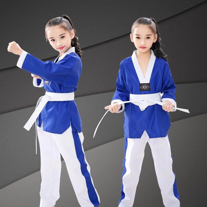 Ceinture De Karaté / Judo / Taekwondo – Rayures – Adulte/Enfant – Marque Générique