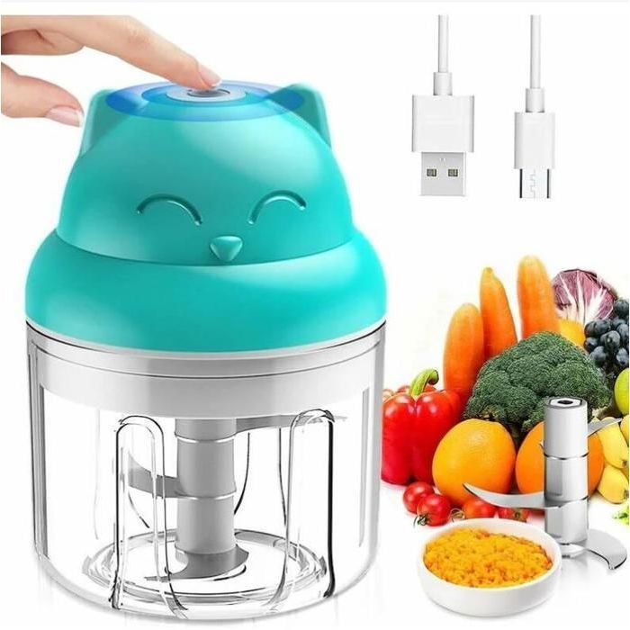 Mini Hachoir Électrique Multi Moulinette 250ml Mixer Blender Avec Design Acier inoxydable 3 Lames Presse Ail Hachoir HACHOIR MANUEL - Hanlin