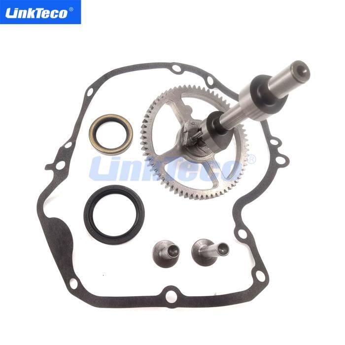 Kit Arbre à Cames 793880 Avec Joints - Compatible Tondeuse, Remplace 793583, 792681, 791942, 795102 - 12