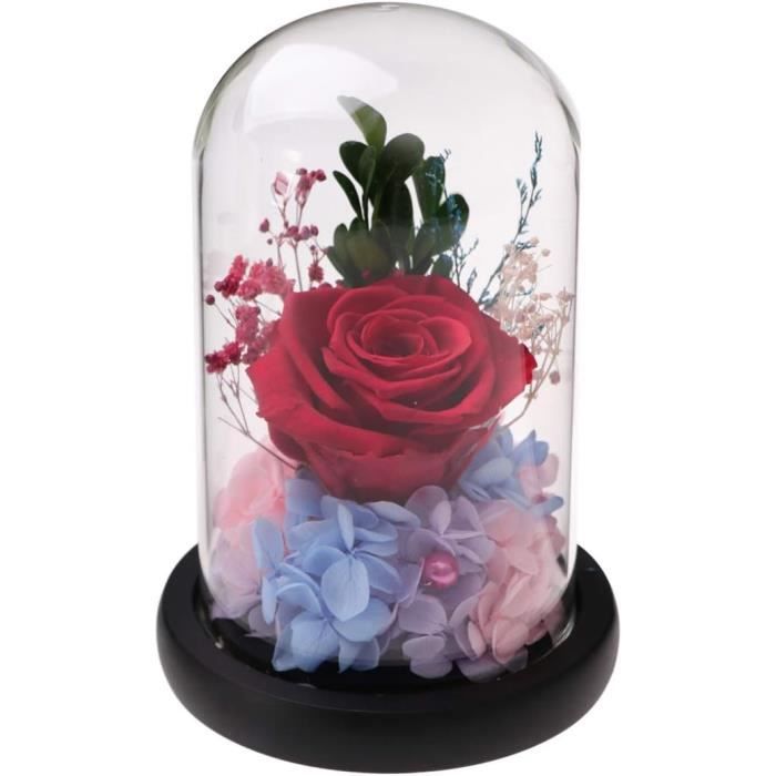 Coffret cadeau rose éternelle - SUTEO - Rose préservée - Collier en