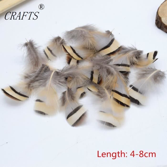 Décoration Plume Carnaval Lot 20 Plumes Faisan Naturelles 25-30cm - Création DIY, Décos Chapeaux, Costumes | Vert Loisirs Créatifs Couleur Vive Décoration Plume Carnaval Lot 20 Plumes Faisan Naturelles 25-30cm - Création DIY, Décos Chapeaux, Costumes | Vert Loisirs Créatifs Couleur Vive
