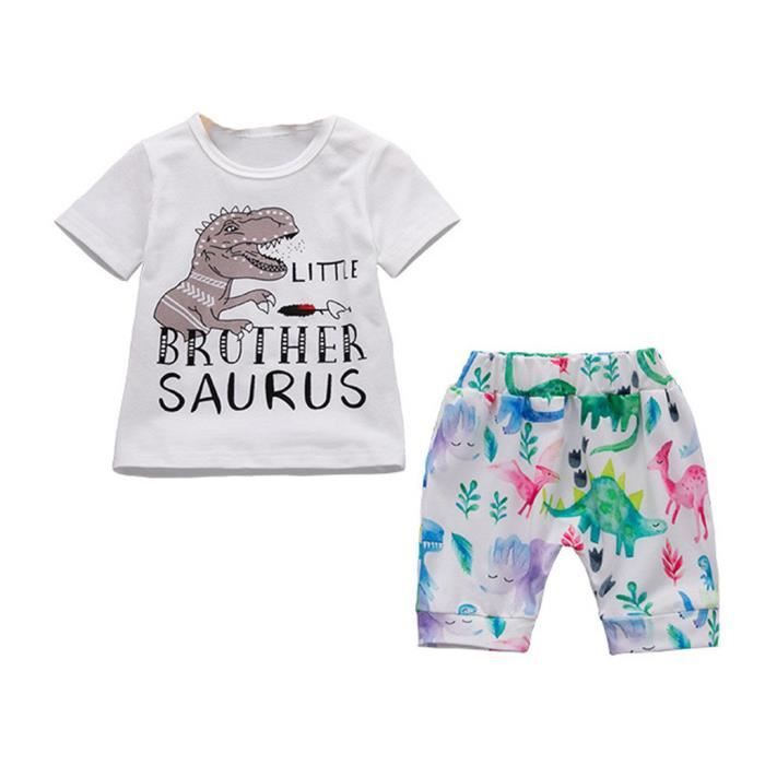 Ensemble Vêtement Bébé Garçon Dinosaure - Haut Manches Longues + Pantalon - Coton Doux 6 Mois-4 Ans