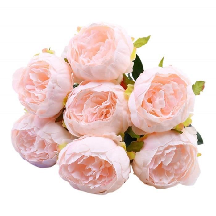 HUAESIN Herbe de la Papa Naturelle, Bouquet de Fleurs Sechees Deco Papas Artificiels pour pour
