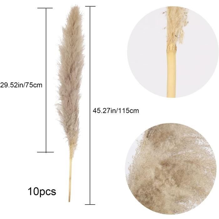 Herbe De Pampa Séchée Lot De 15, Décoration De Vase De Fleurs Séchées Artificielles De 43 Cm, Décoration D'herbe De Pampa Et Fleurs Séchées | Leroy Merlin