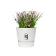 ELHO Pot de fleurs rond Greenville 25 - Extérieur - Ø 24,48 x H 23,31 cm - Blanc-3