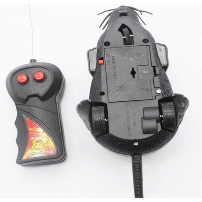 Jouets En Peluche Capybara Toast De 17 Cm, Animaux En Peluche Capybara, Poupées En Peluche