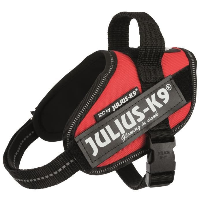 JULIUS K9 Harnais Power IDC Mini-Mini–S : 40–53 cm - 22 mm - Rouge - Pour chien