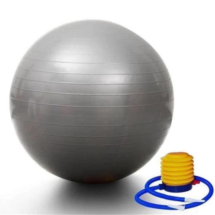 Ballon de gym 65 cm avec Pompe - Ball Ballon Fitness Ballon de gymnastique-grossesse Balle de Balance Gr73482