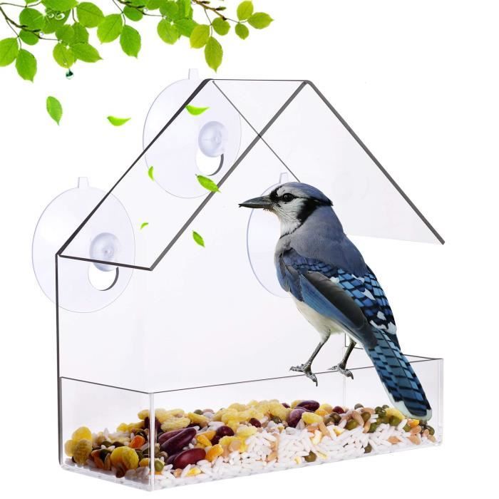 Nature_Decor Mangeoire à Oiseaux avec Ventouse pour fenêtre Transparent 21 Trous de Drainage