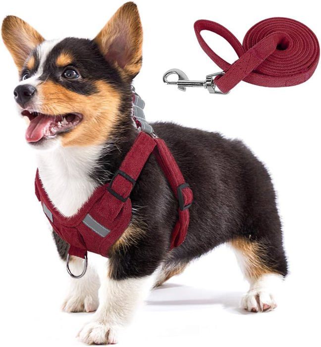 Meilleurs prix pour Harnais Doux en Tissu pour Chien, Gilet Réfléchissant Ajustable, Confort et Sécurité Sans Traction