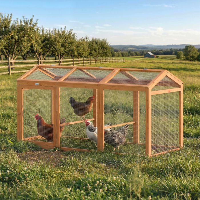 Poulailler avec enclos et perchoir doubles portes bois et métal pour 4 poules 156 x 705 x 84 cm orange