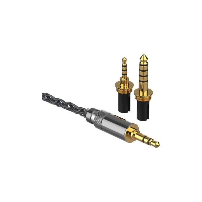 Câble MMCX vers Jack - FIIO - LC-RD Pro - Fiche amovible - 3,5mm/2,5mm/4,4mm