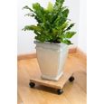 NATURE Tablette à roulettes pour plantes - Bambou composite - H8 x 30 x 30 cm-1